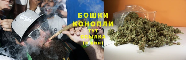 прущие крисы Гусь-Хрустальный
