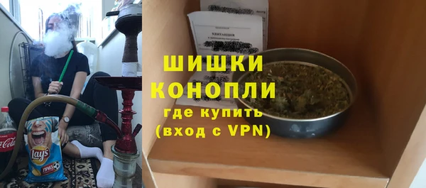 амф Гусиноозёрск