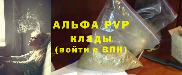 амф Гусиноозёрск