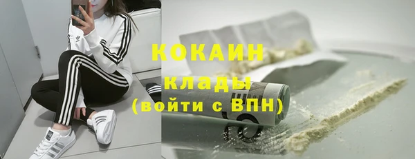 мет Дмитров