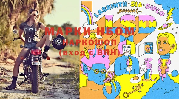 ALPHA PVP Дмитриев