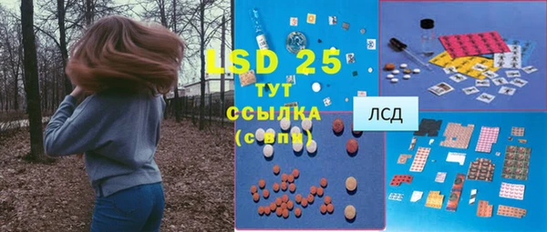 МДПВ Гусев