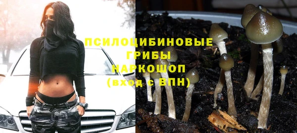 амф Гусиноозёрск
