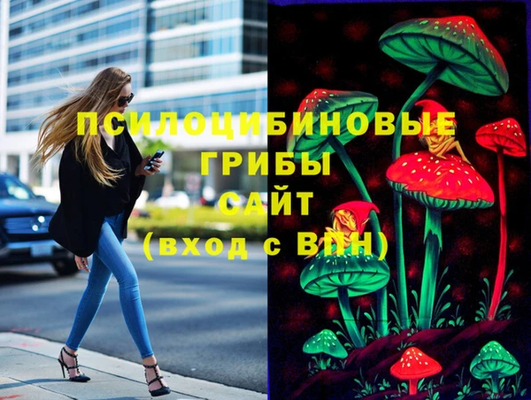 МДПВ Гусев